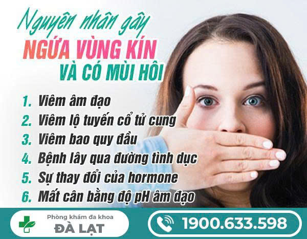 Hình ảnh minh họa